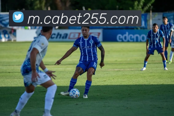 奖项证书